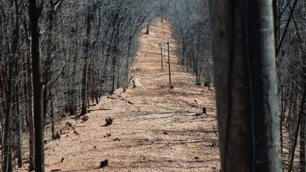 Barkley Marathons 2025: Only Four Runners Left In The Grueling