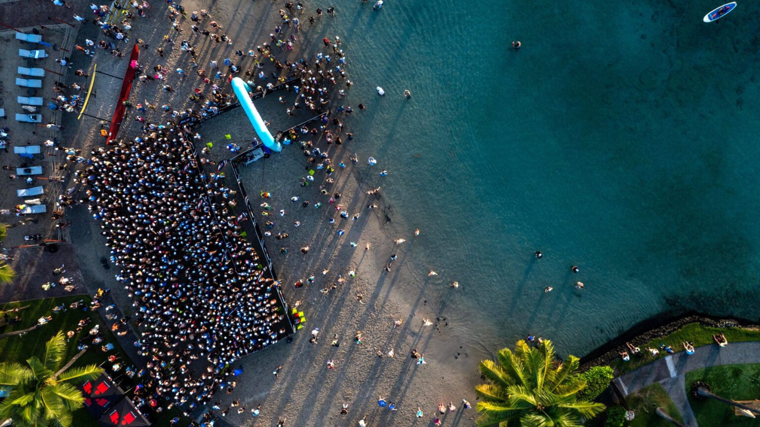 Are sharks a real concern for triathletes during ocean swims?