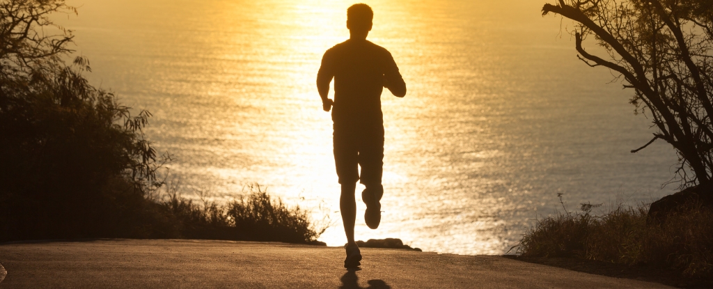 Elite Ultramarathoners Face Unexpected Cancer Risk After Epic Endurance Challenges Elite ultramarathoners face unexpected cancer risk after epic endurance challenges