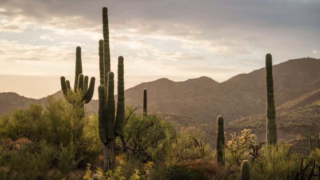 Trail running’s thrilling future: gear innovations and utmb qualifiers unveiled